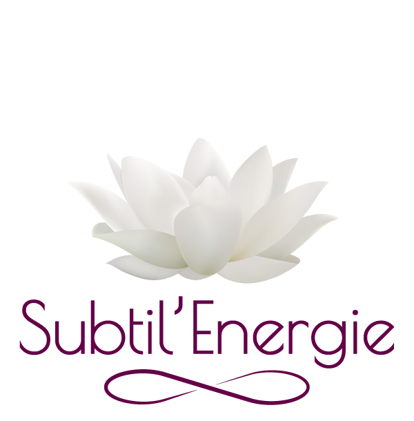 Logo Subtil'Energie